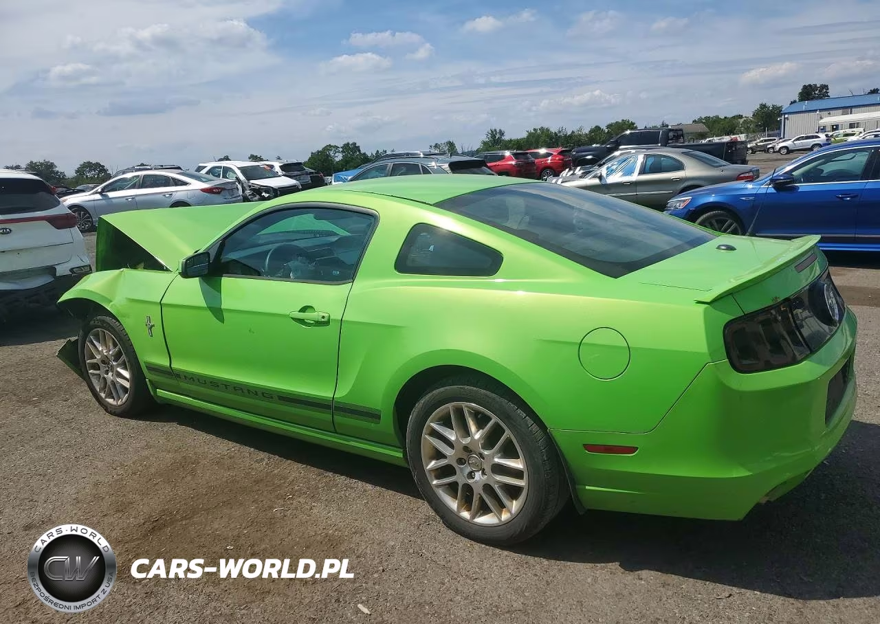 2014 Ford Mustang VIN:1ZVBP8AM5E5318224 - 2