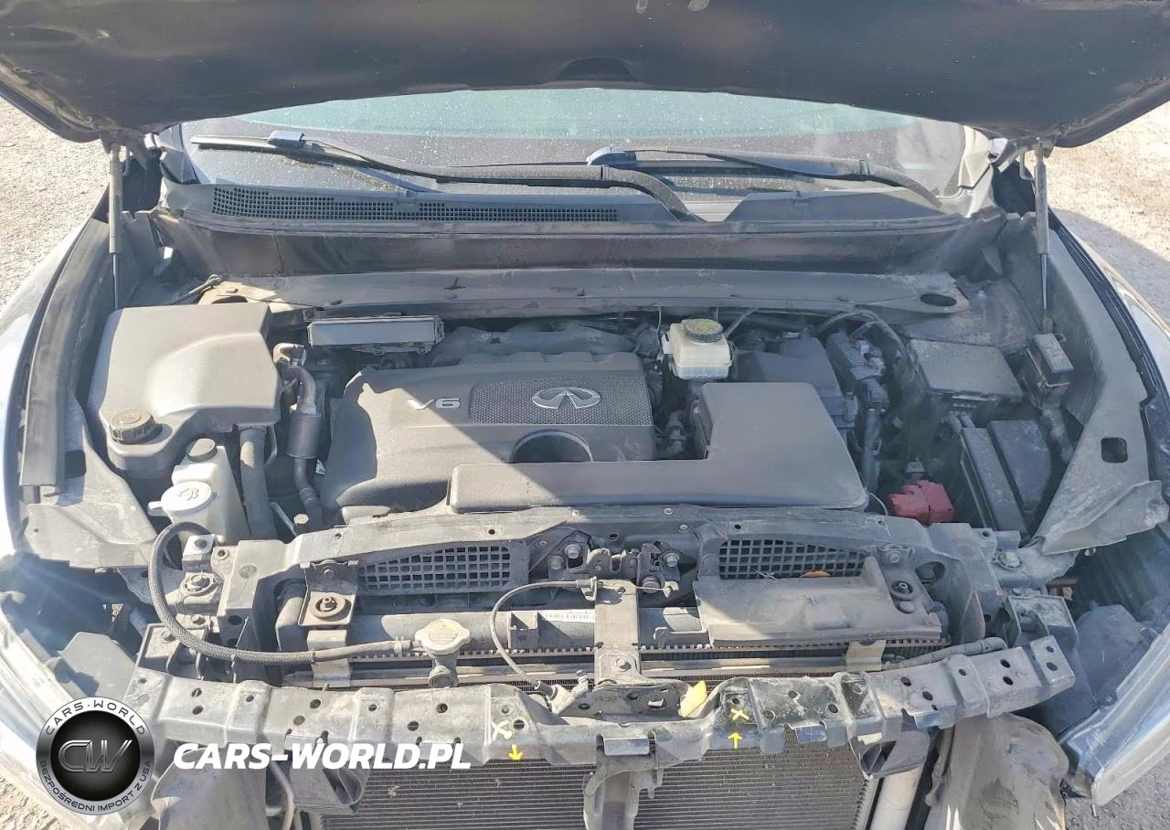 2020 Infiniti Qx60 Pure VIN:5N1DL0MN5LC532633 - 12