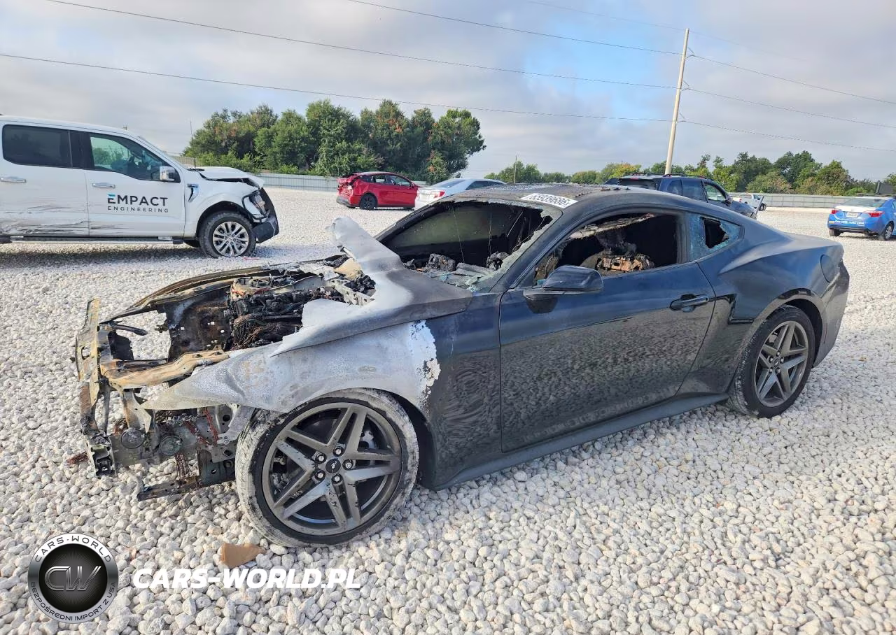 2025 Ford Mustang VIN:1FA6P8TH7S5126017 - 1