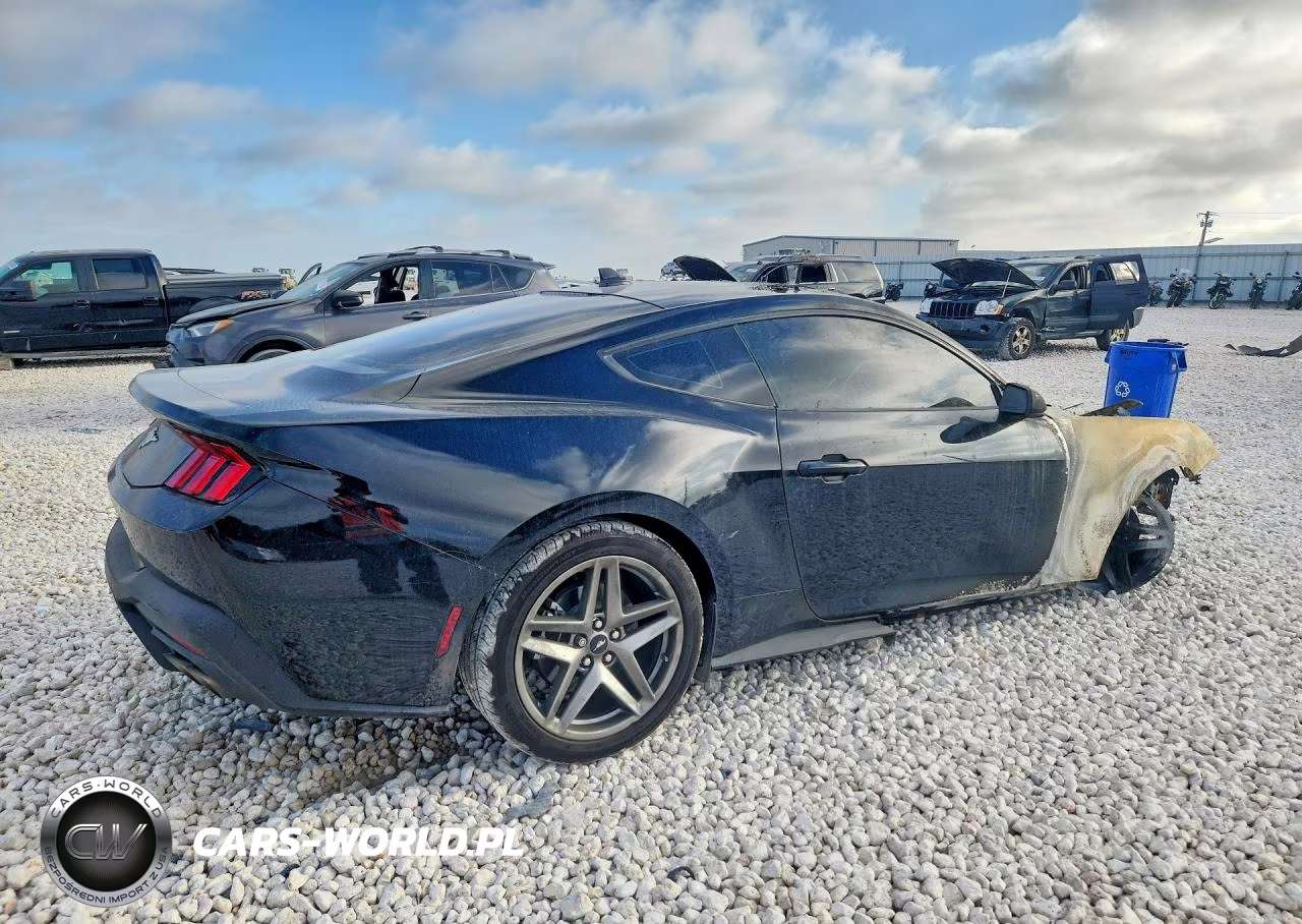2025 Ford Mustang VIN:1FA6P8TH7S5126017 - 3