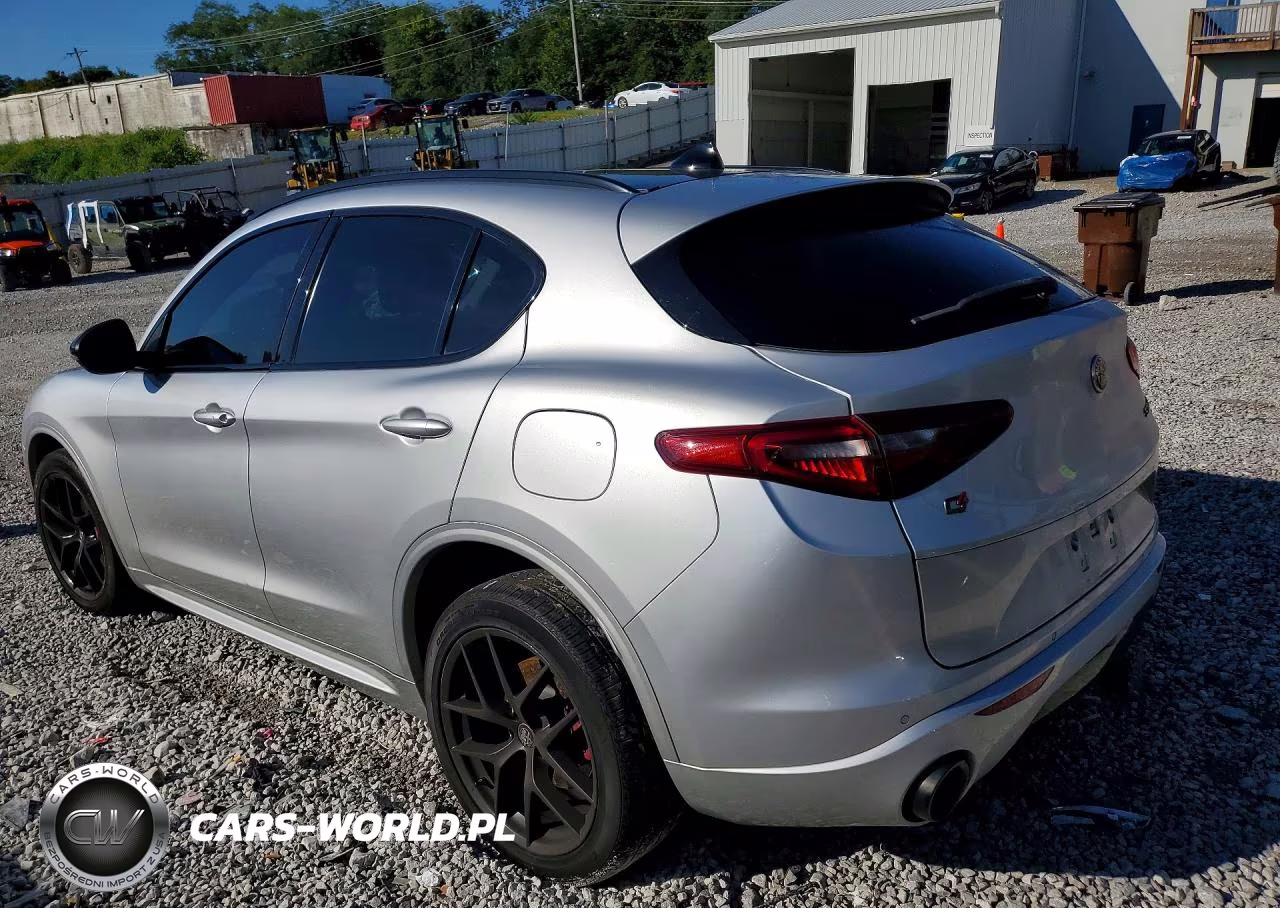 2020 Alfa Romeo Stelvio VIN:ZASPAKAN1L7C75557 - 2