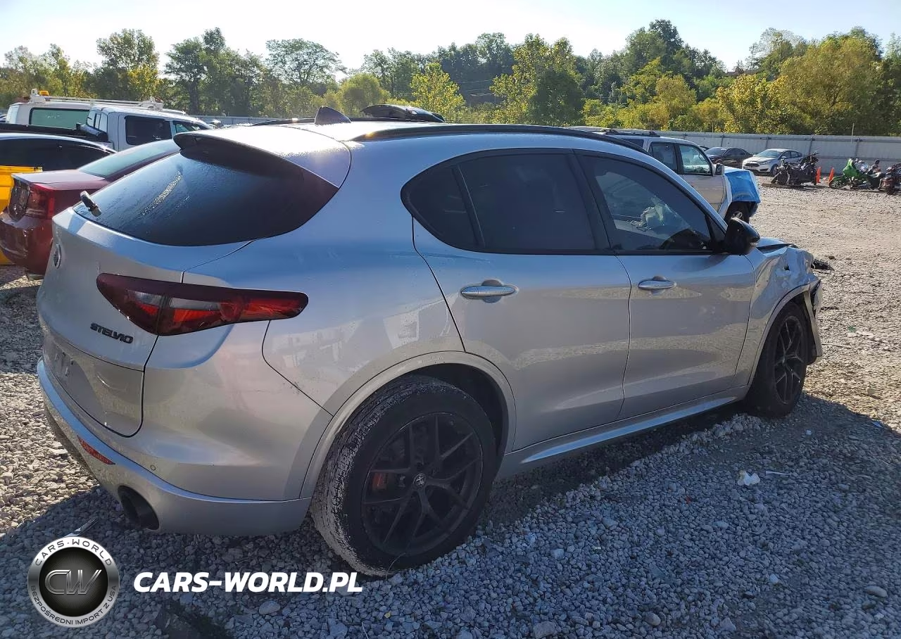 2020 Alfa Romeo Stelvio VIN:ZASPAKAN1L7C75557 - 3