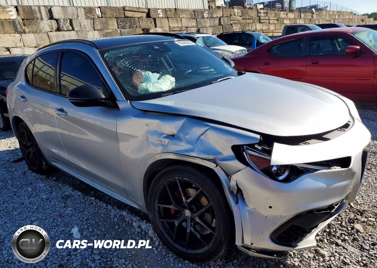 2020 Alfa Romeo Stelvio VIN:ZASPAKAN1L7C75557 - 4