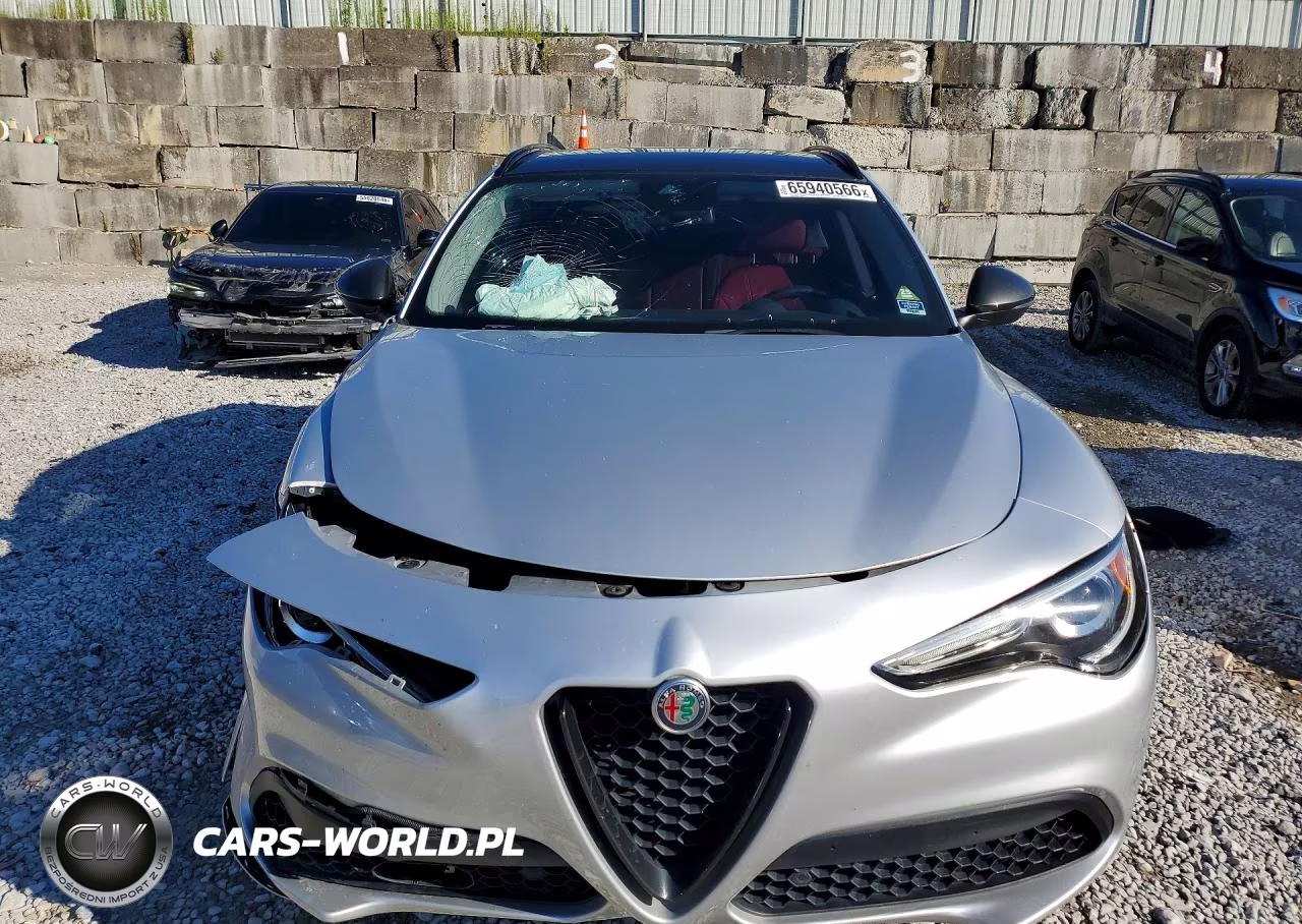 2020 Alfa Romeo Stelvio VIN:ZASPAKAN1L7C75557 - 5
