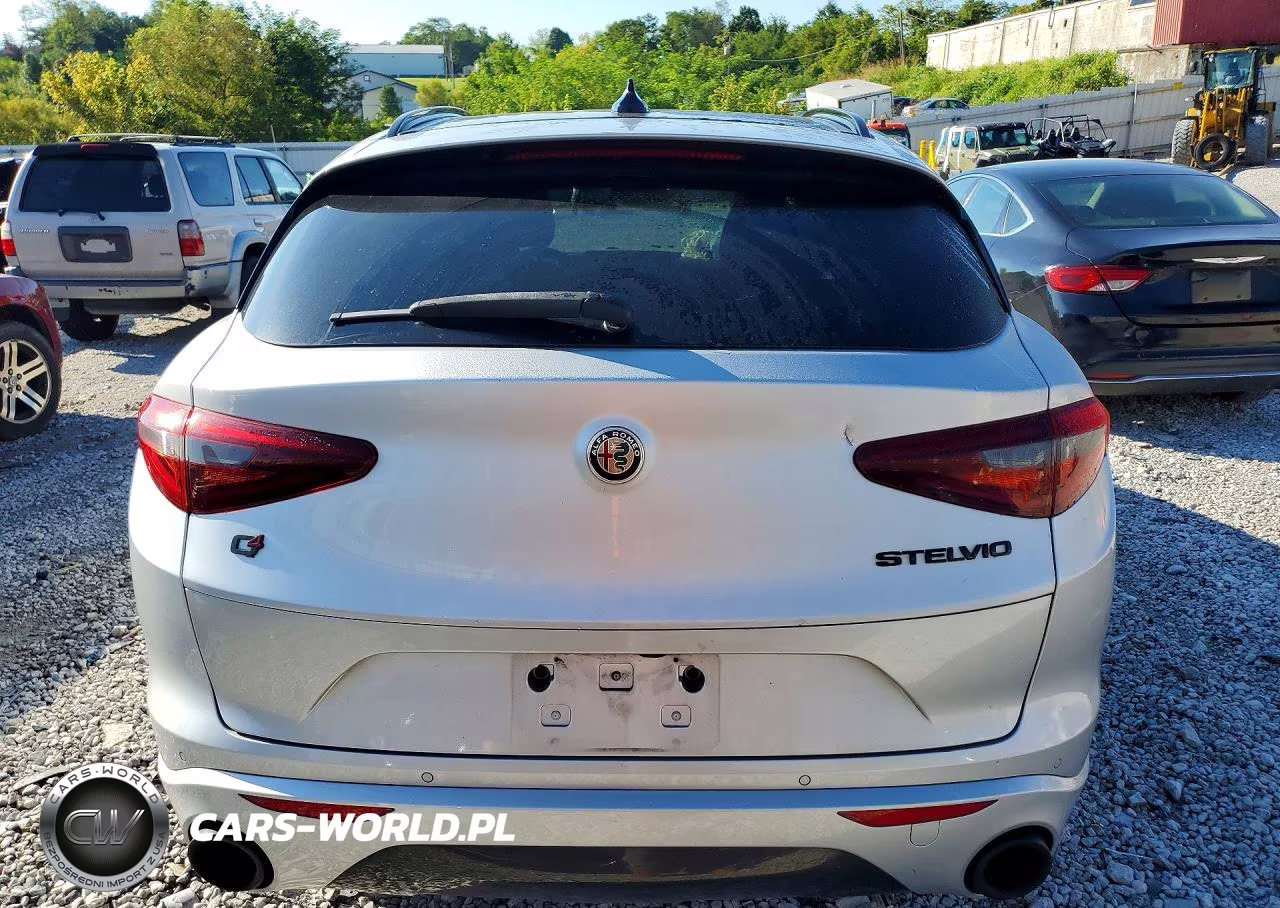 2020 Alfa Romeo Stelvio VIN:ZASPAKAN1L7C75557 - 6