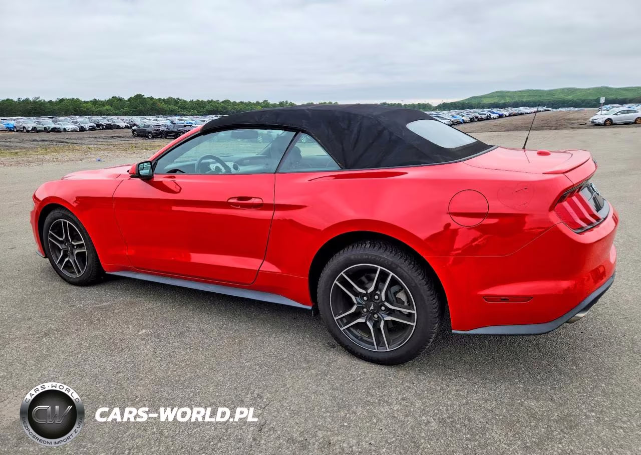 2019 Ford Mustang I4 Convertible VIN:1FATP8UH7K5179351 - 2