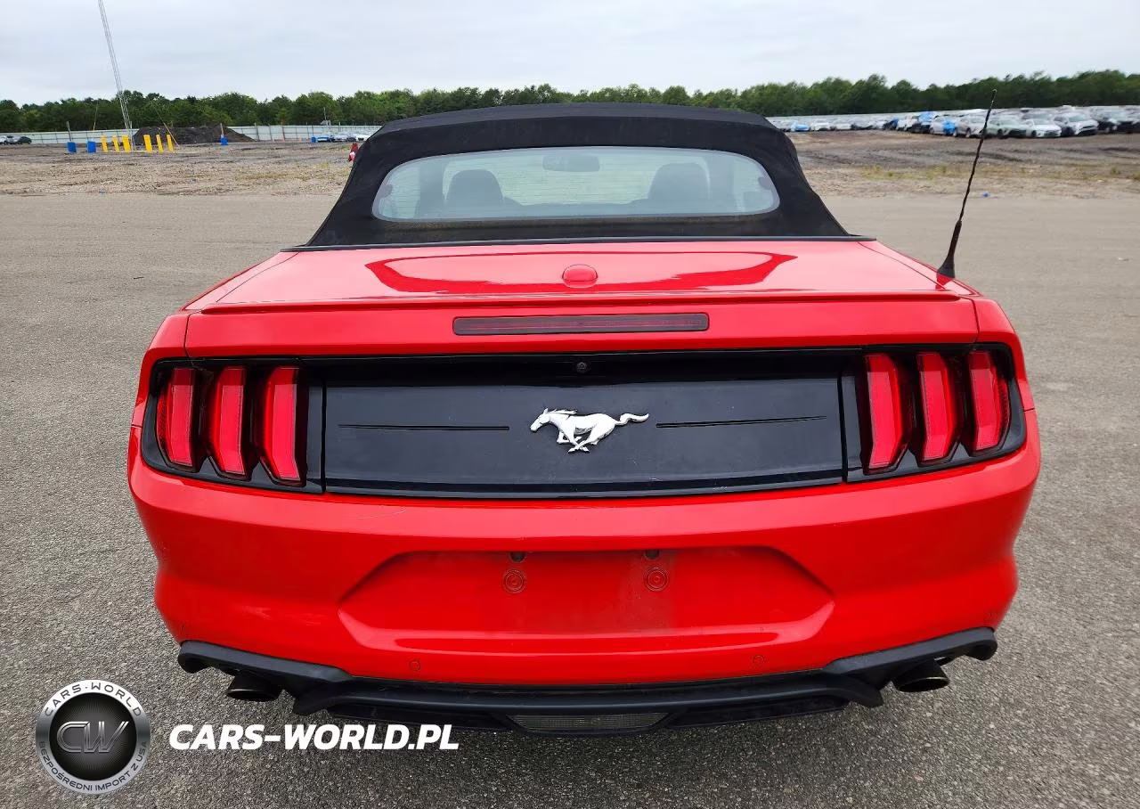 2019 Ford Mustang I4 Convertible VIN:1FATP8UH7K5179351 - 6