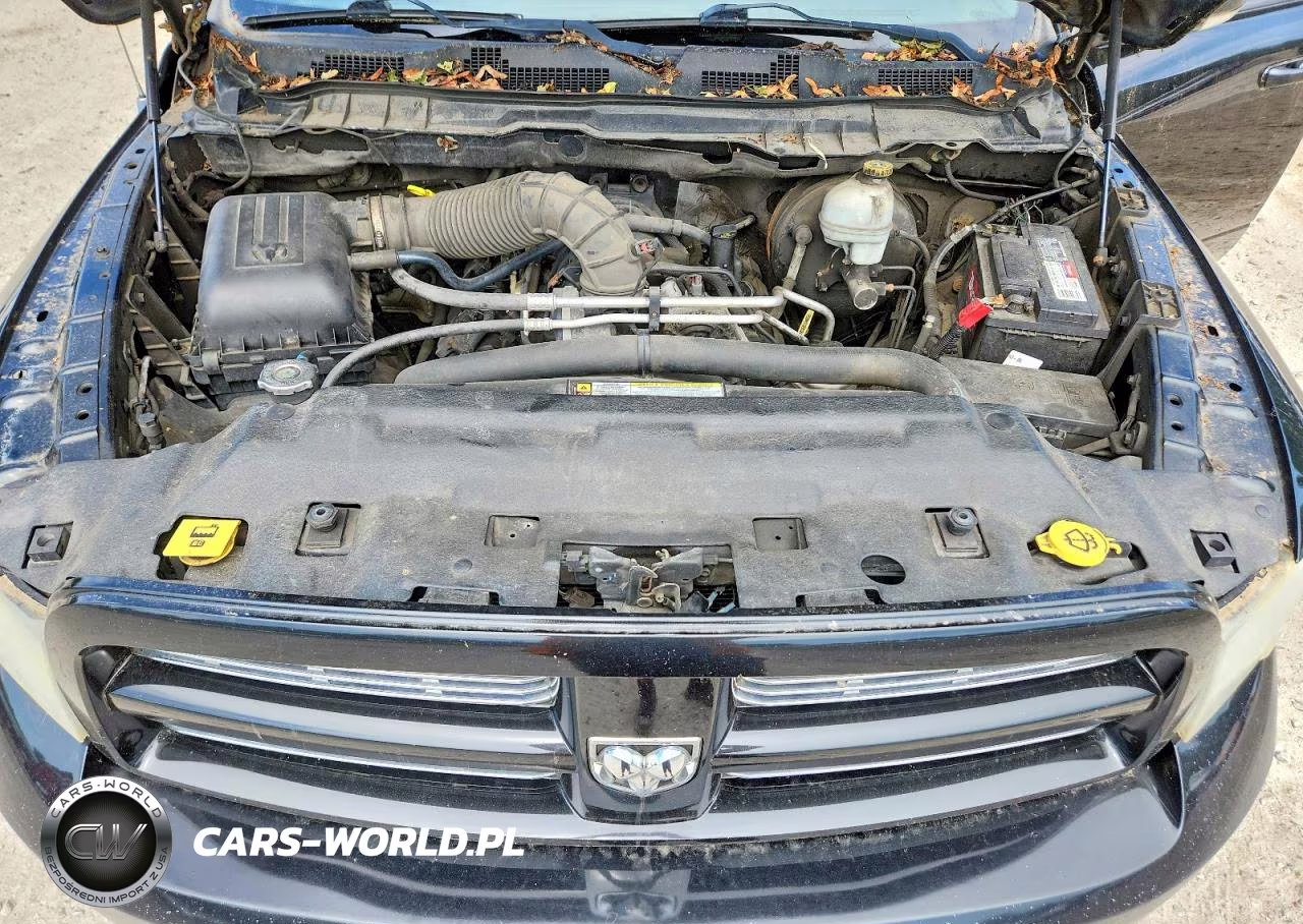 2010 Dodge Ram 1500 VIN:1D7RV1GT0AS251451 - 11