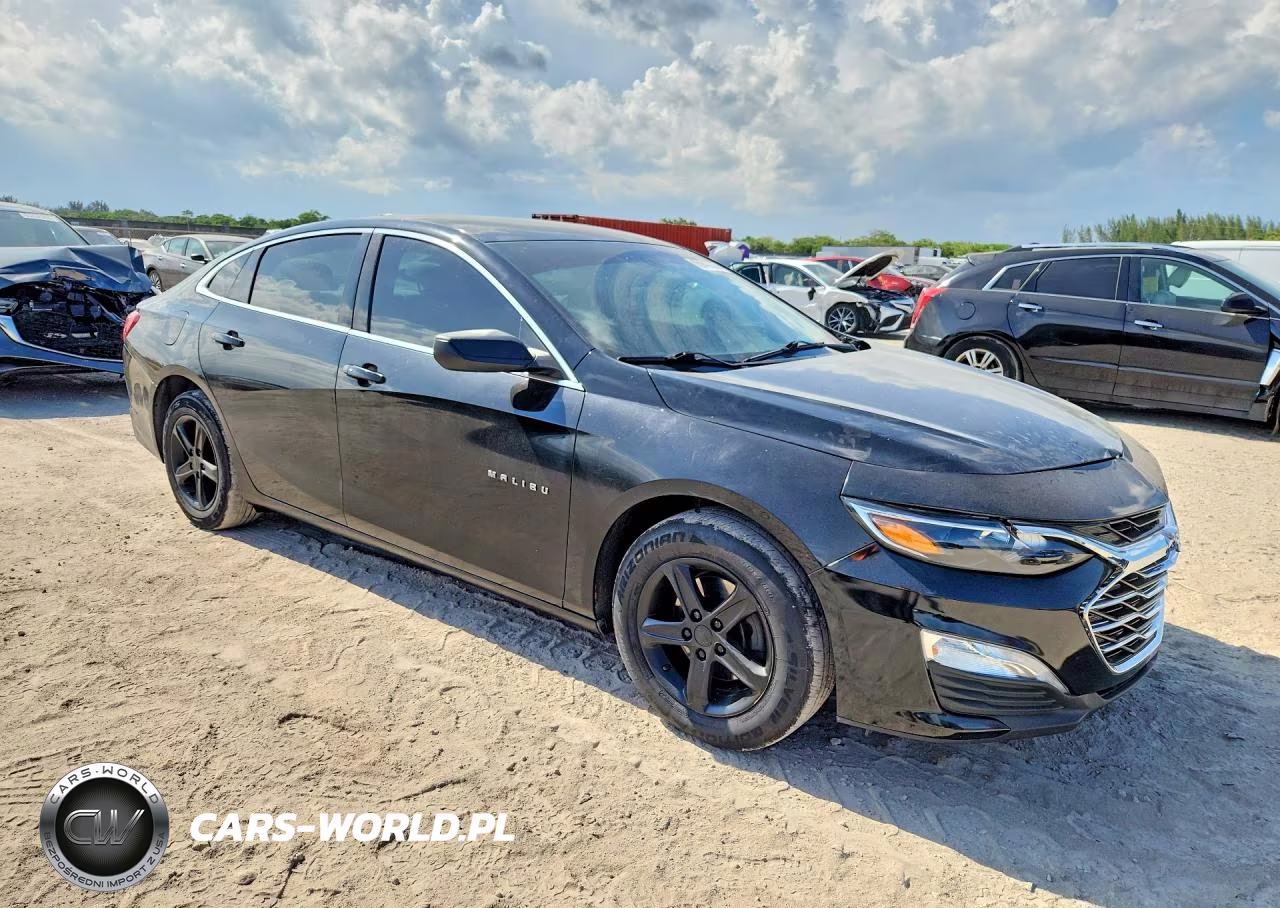 2019 Chevrolet Malibu Ls VIN:1G1ZB5ST2KF142719 - 4