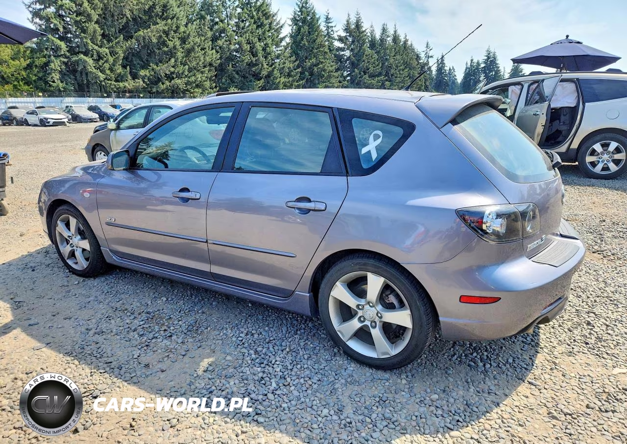 2006 Mazda 3 Hatchback VIN:JM1BK343961493043 - 2