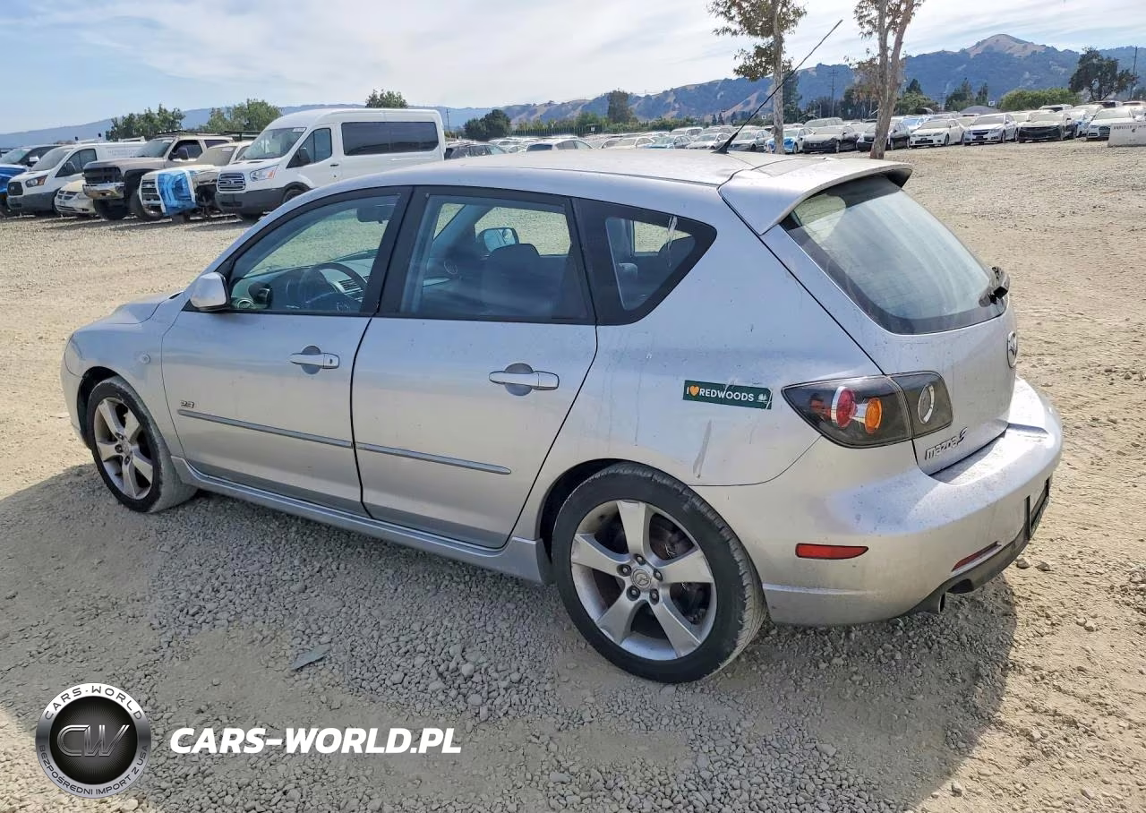2004 Mazda 3 Hatchback VIN:JM1BK343741216548 - 2