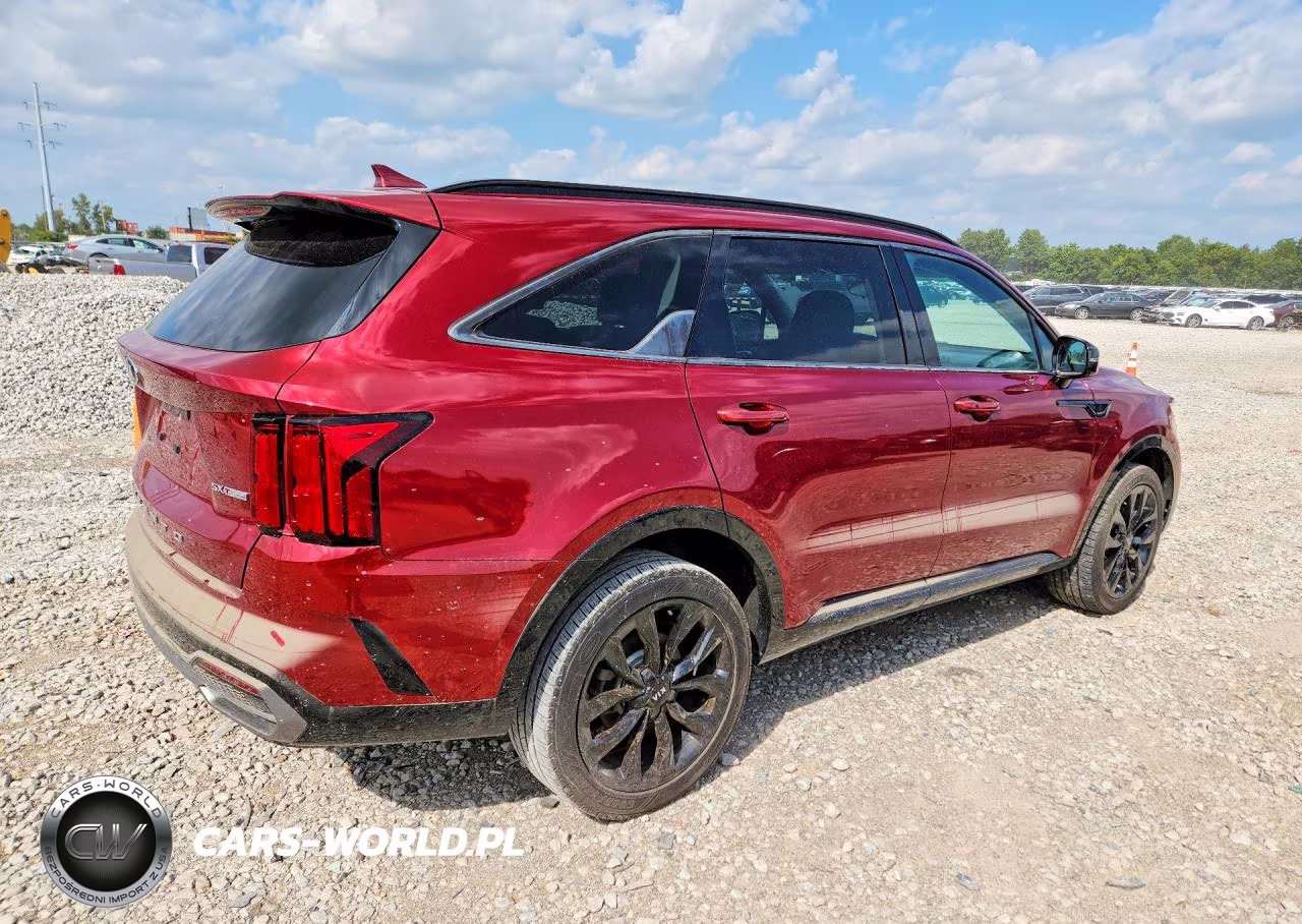 2021 Kia Sorento Sx VIN:5XYRKDLFXMG056486 - 3