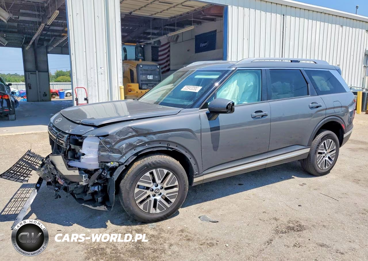 2026 Hyundai Palisade Blue Sel VIN:KM8RL5SA5TU101108 - 1