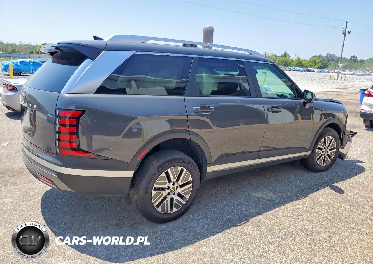 2026 Hyundai Palisade Blue Sel VIN:KM8RL5SA5TU101108 - 3