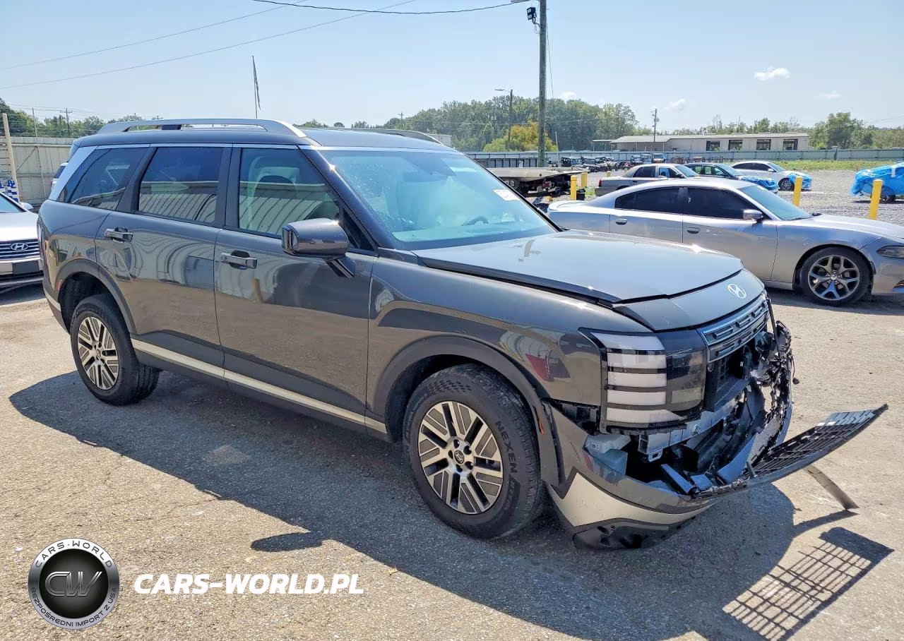 2026 Hyundai Palisade Blue Sel VIN:KM8RL5SA5TU101108 - 4