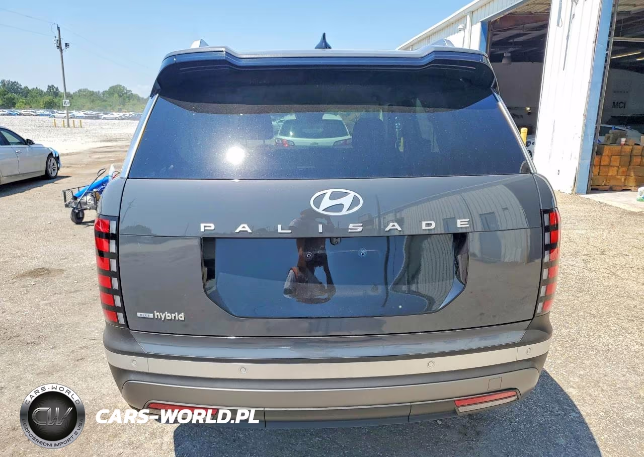 2026 Hyundai Palisade Blue Sel VIN:KM8RL5SA5TU101108 - 6