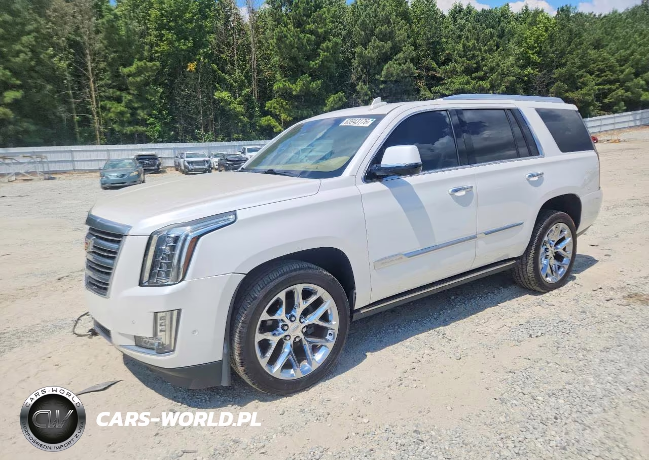 2019 Cadillac Escalade Platinum VIN:1GYS4DKJ6KR118914 - 1