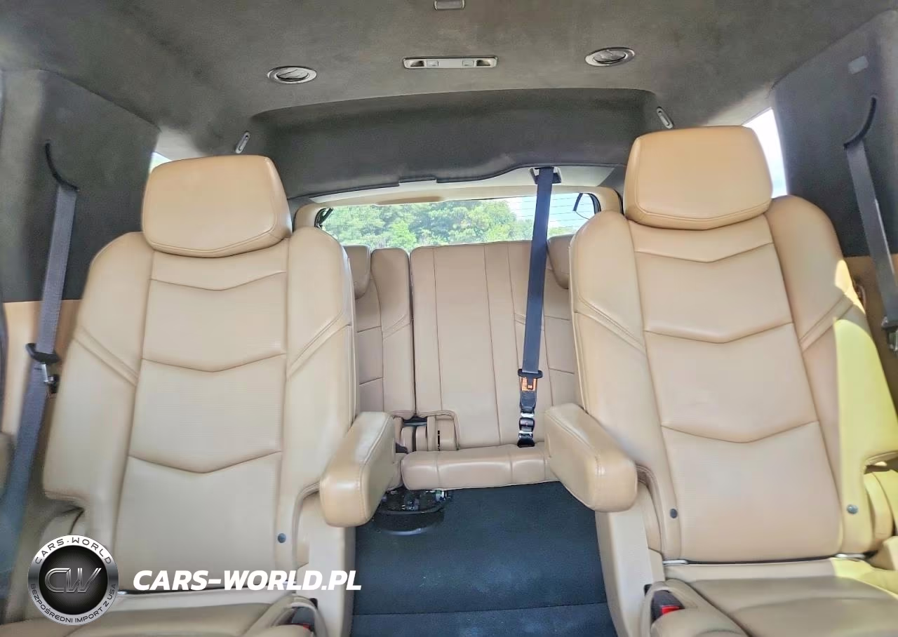 2019 Cadillac Escalade Platinum VIN:1GYS4DKJ6KR118914 - 10