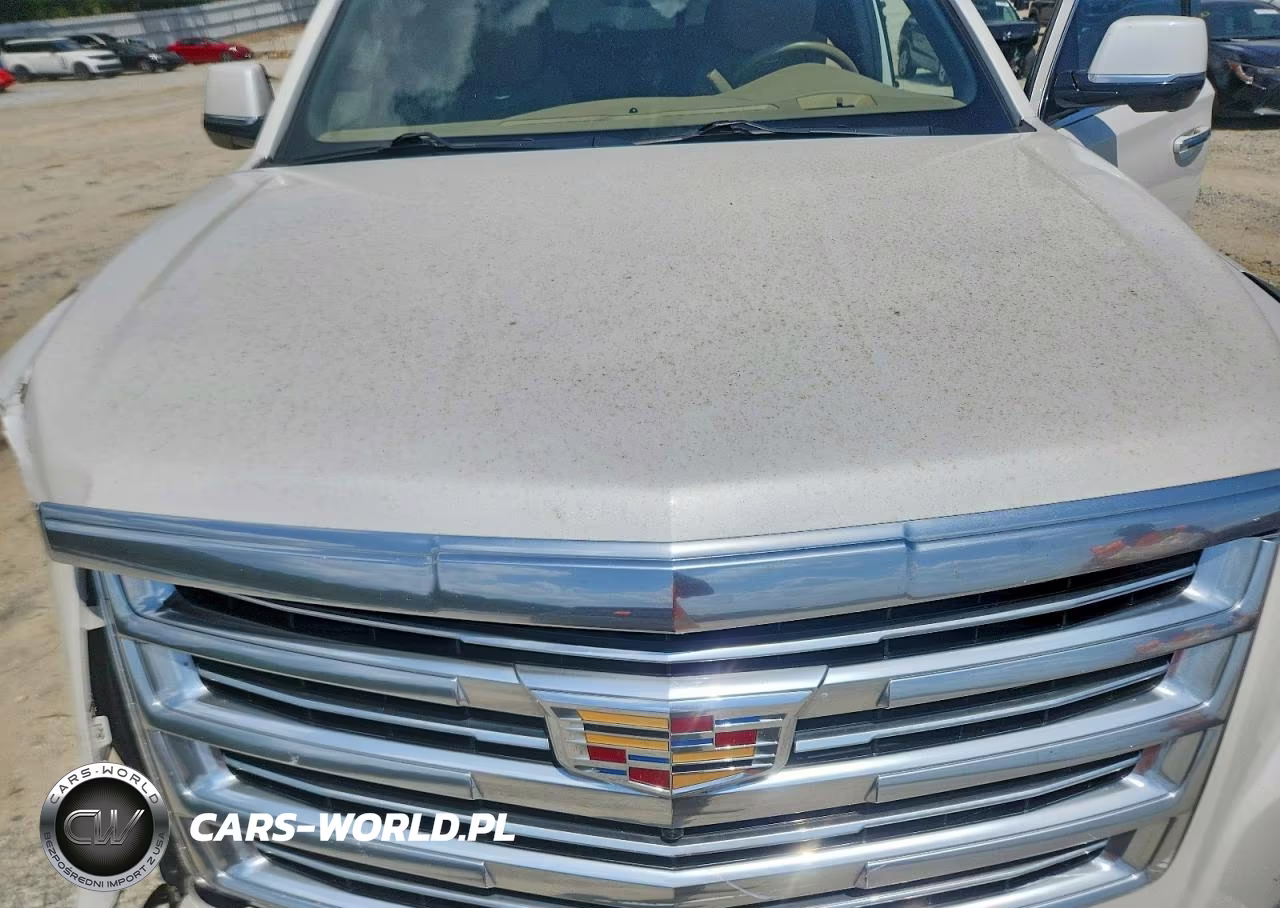 2019 Cadillac Escalade Platinum VIN:1GYS4DKJ6KR118914 - 12