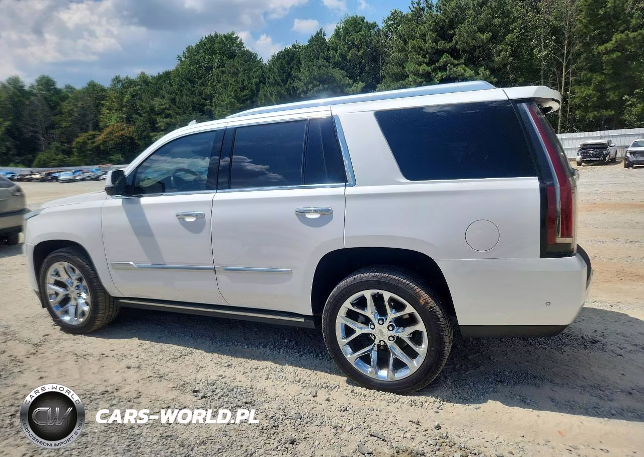 2019 Cadillac Escalade Platinum VIN:1GYS4DKJ6KR118914 - 2
