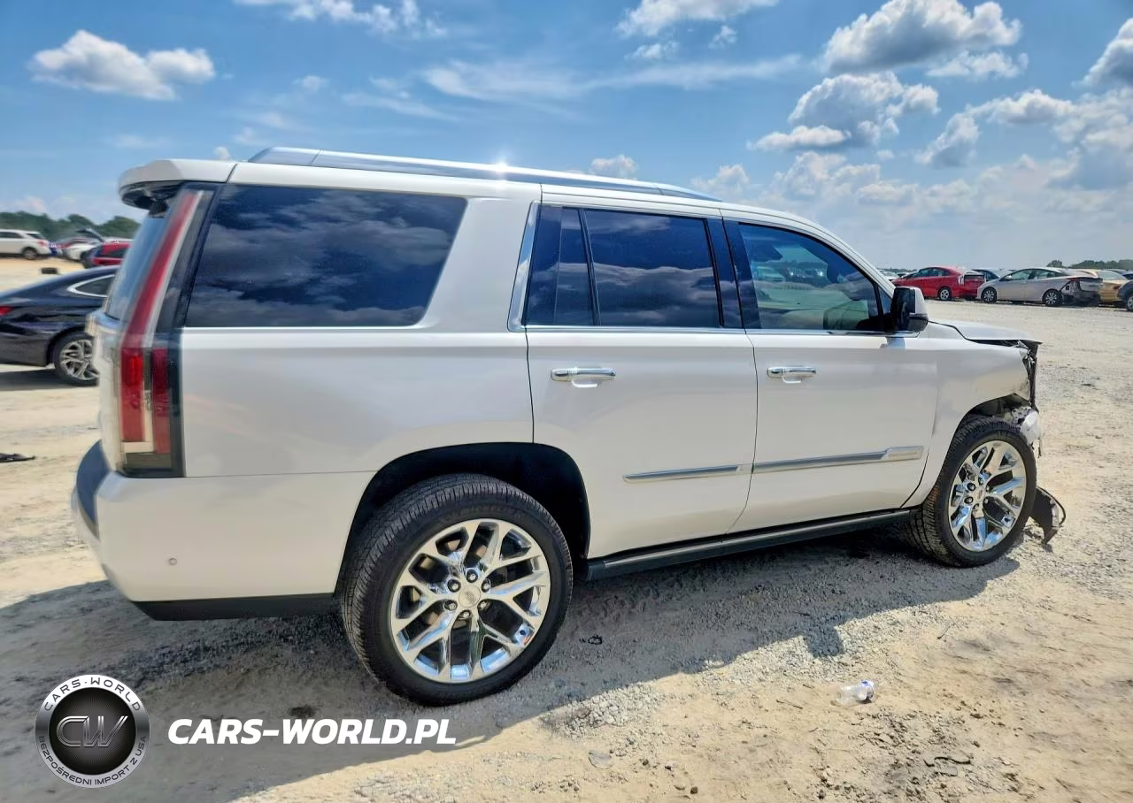 2019 Cadillac Escalade Platinum VIN:1GYS4DKJ6KR118914 - 3