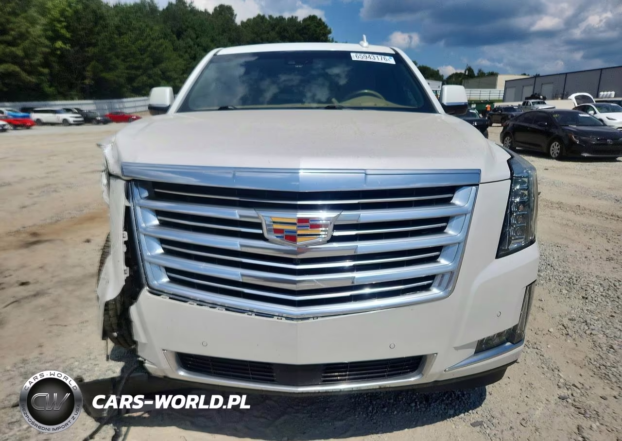 2019 Cadillac Escalade Platinum VIN:1GYS4DKJ6KR118914 - 5