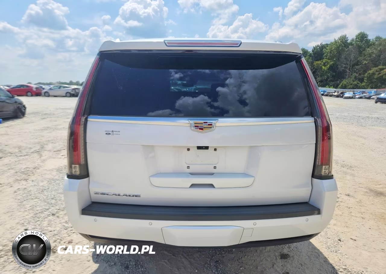 2019 Cadillac Escalade Platinum VIN:1GYS4DKJ6KR118914 - 6
