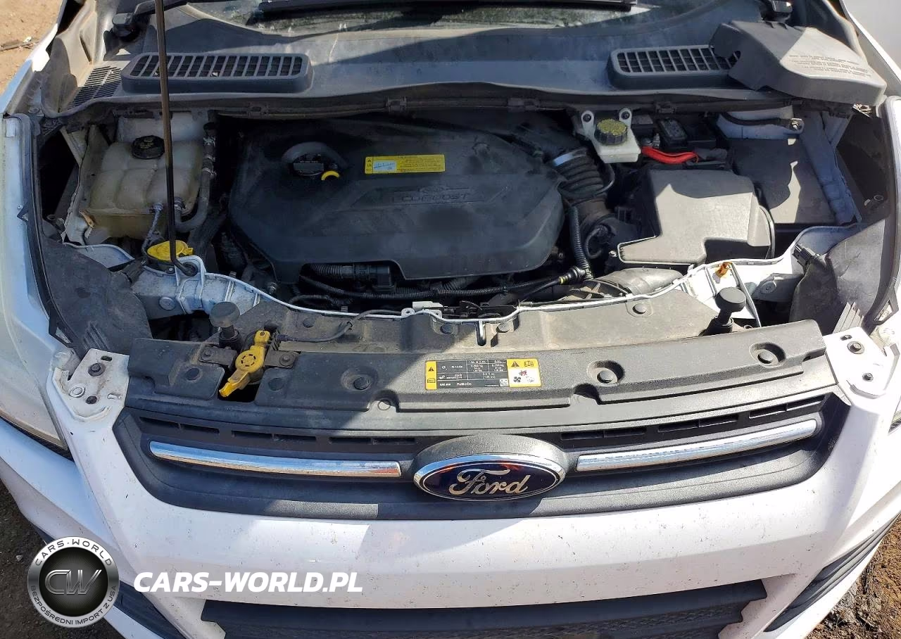 2014 Ford Escape Se VIN:1FMCU0GX4EUB99652 - 12