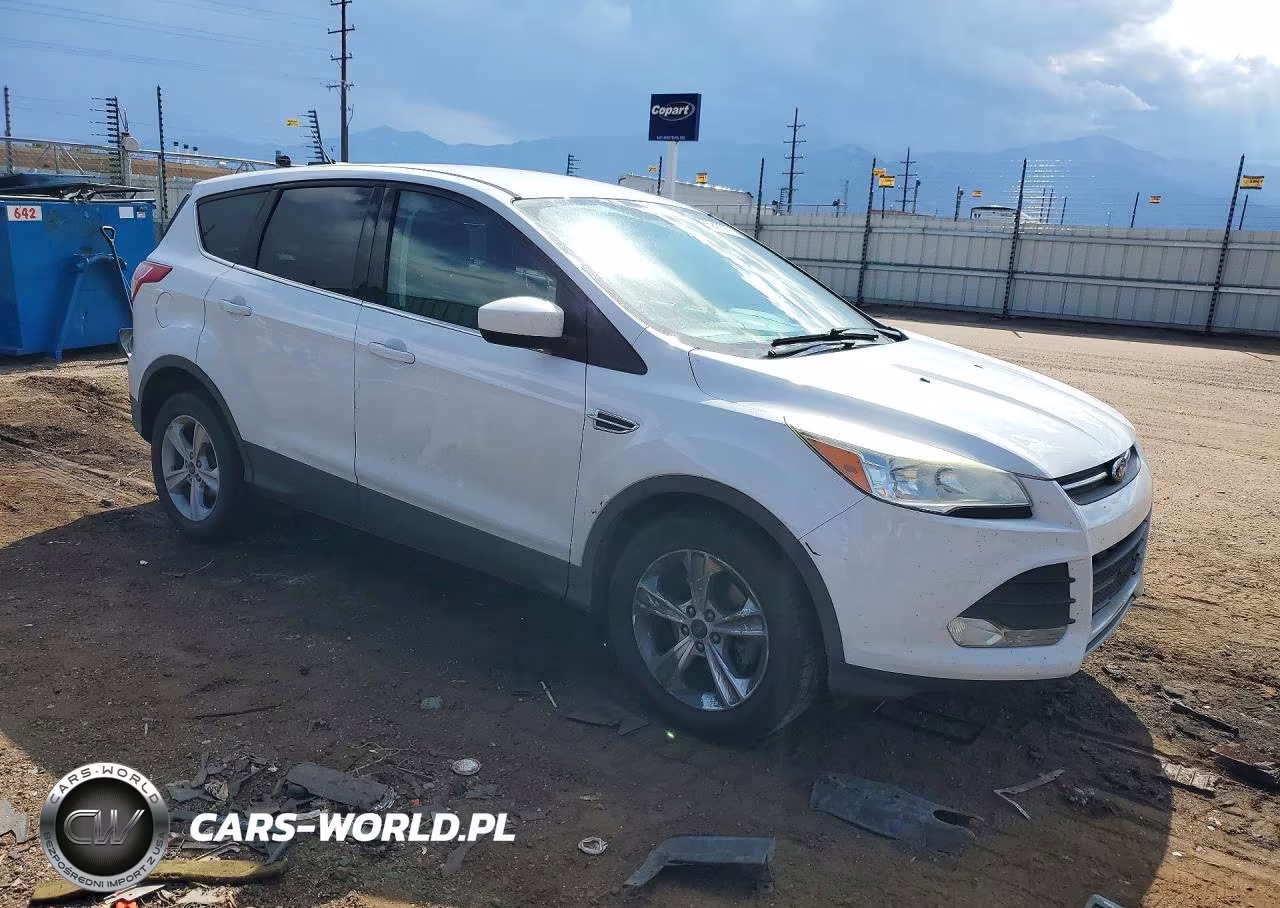 2014 Ford Escape Se VIN:1FMCU0GX4EUB99652 - 4
