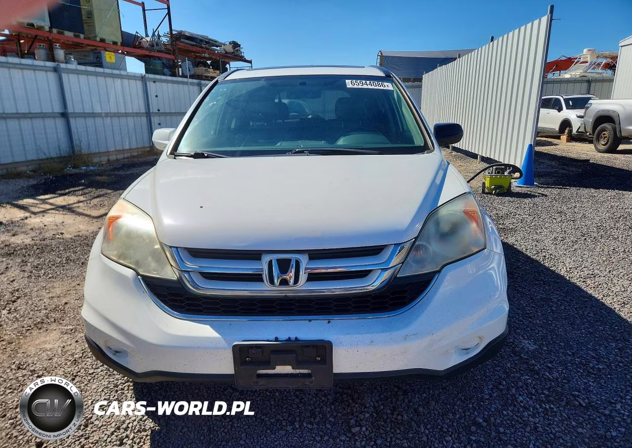 2010 Honda Cr-V Exl VIN:5J6RE3H78AL008420 - 5