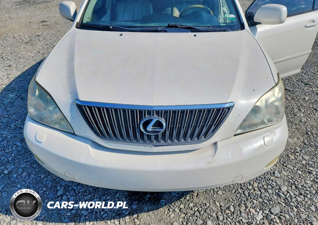2006 Lexus Rx 330 VIN:2T2HA31U26C096100 - 12