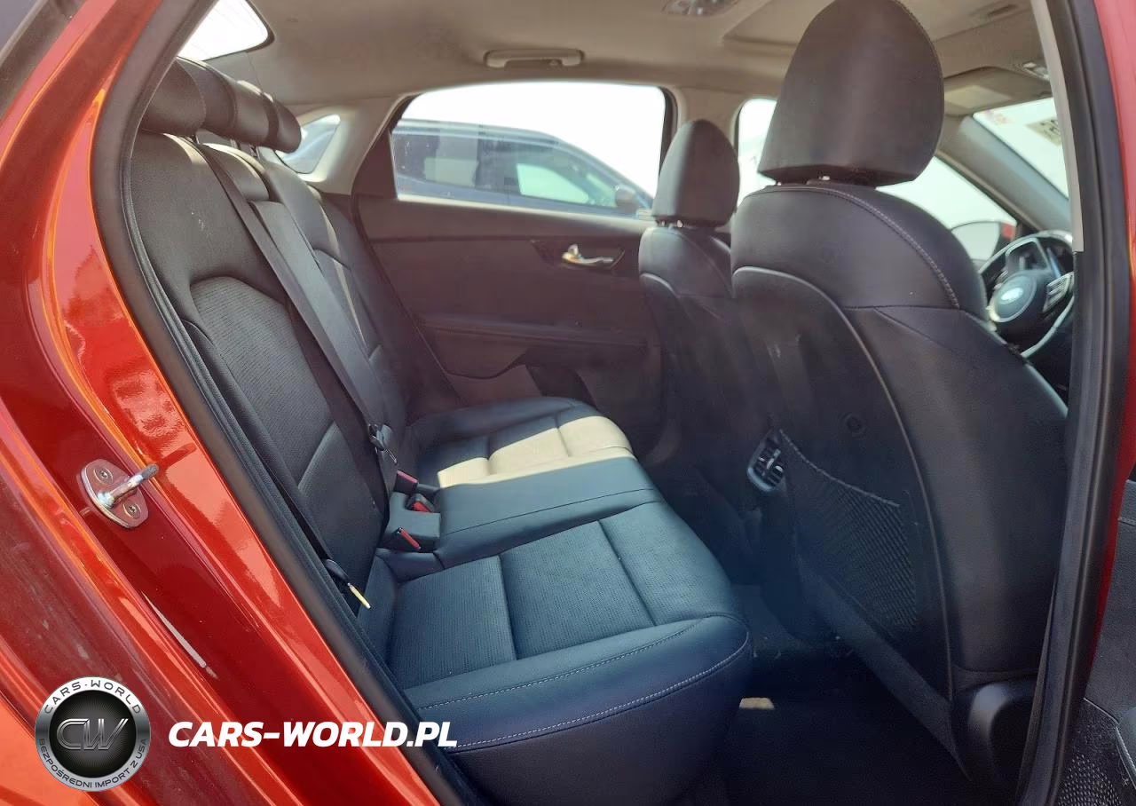 2019 Kia Forte Ex VIN:3KPF54AD8KE067699 - 10