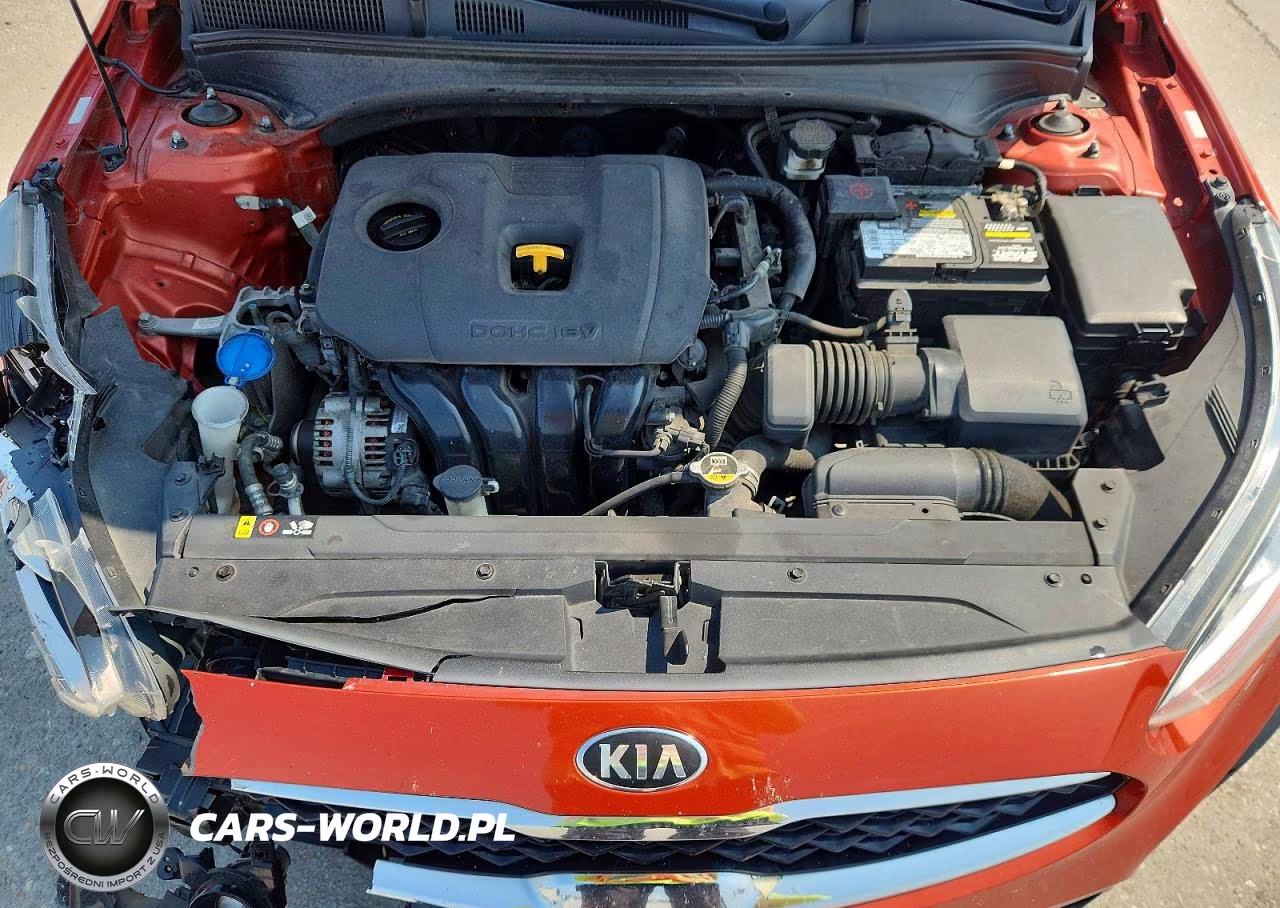2019 Kia Forte Ex VIN:3KPF54AD8KE067699 - 11