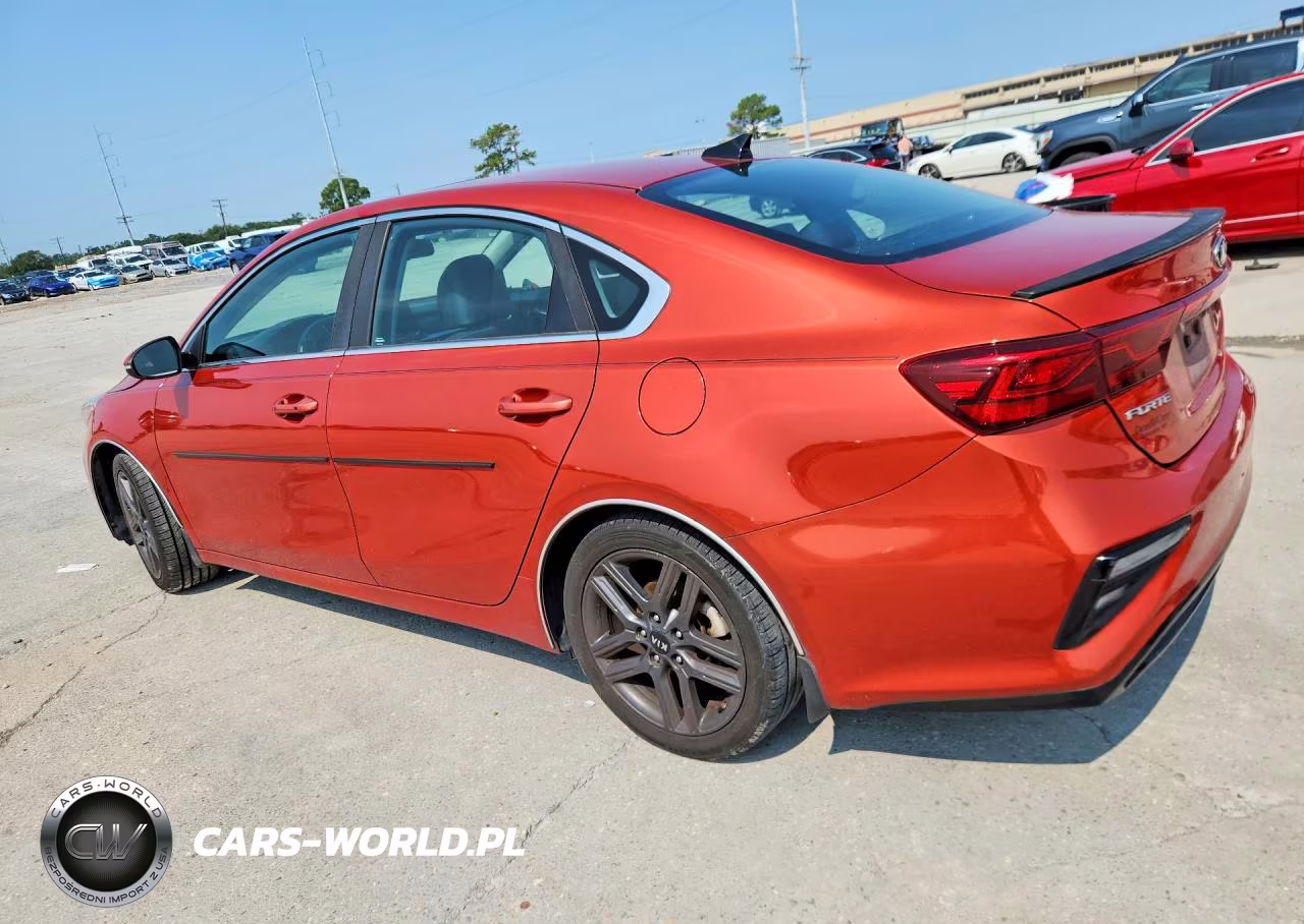 2019 Kia Forte Ex VIN:3KPF54AD8KE067699 - 2