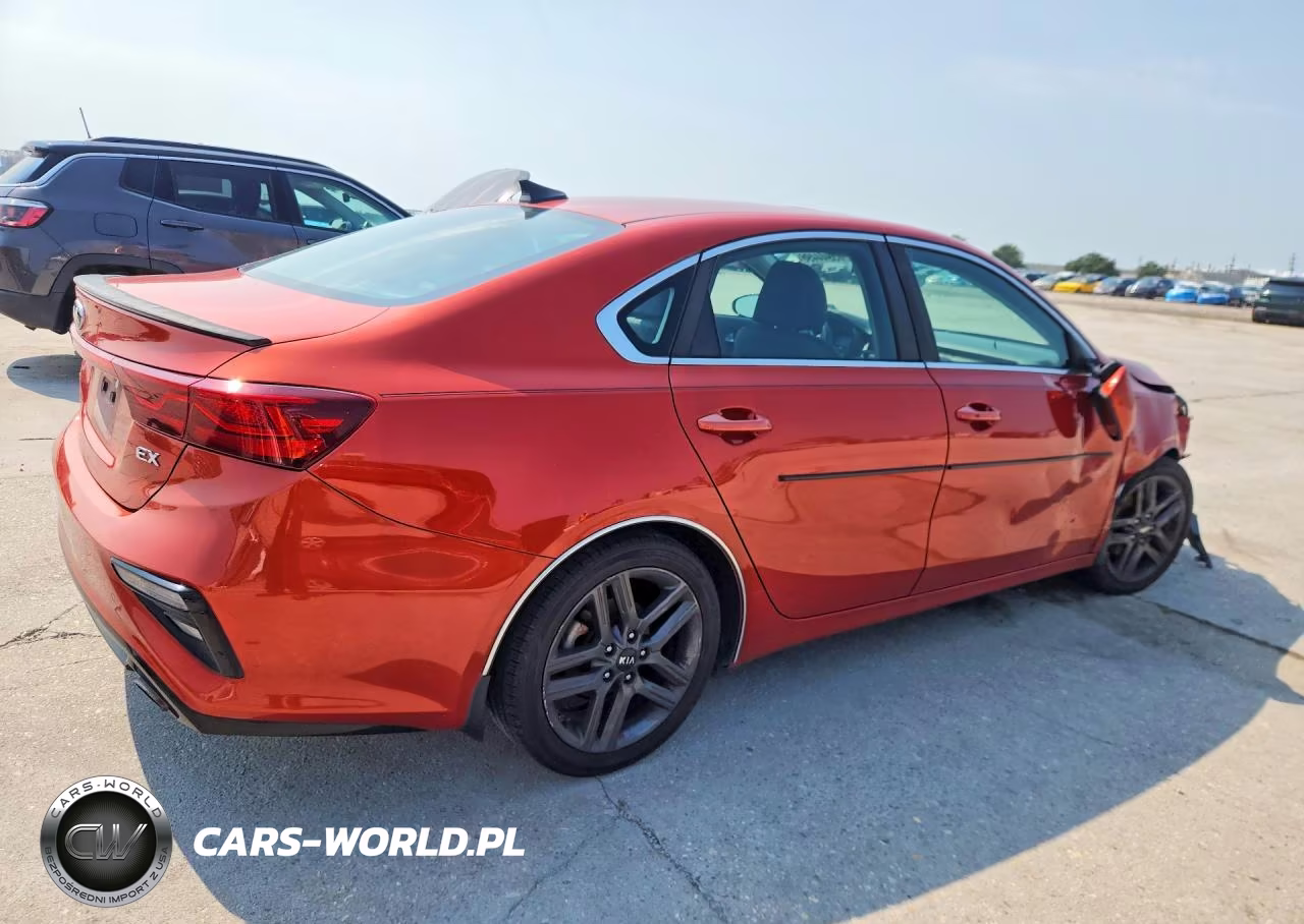 2019 Kia Forte Ex VIN:3KPF54AD8KE067699 - 3
