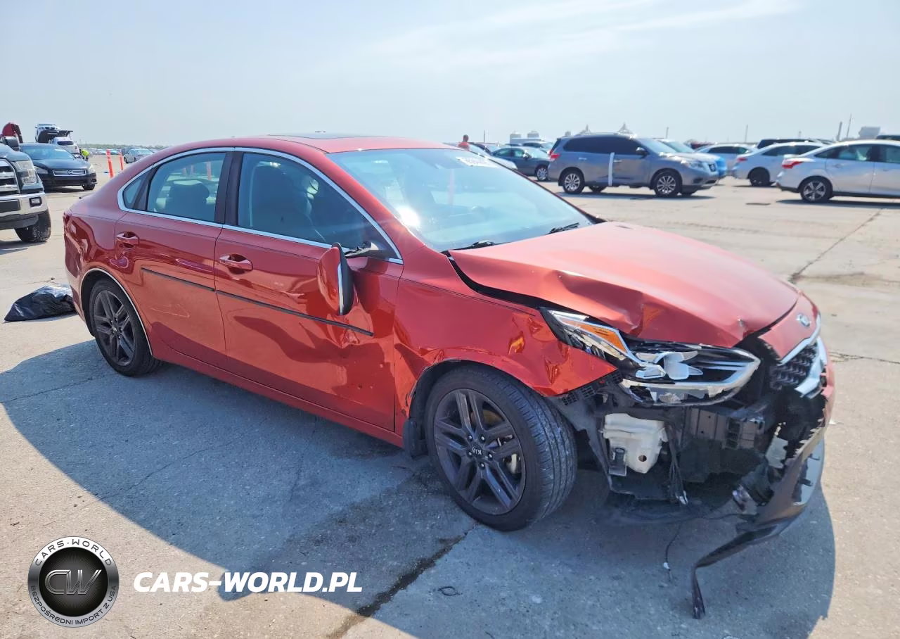 2019 Kia Forte Ex VIN:3KPF54AD8KE067699 - 4