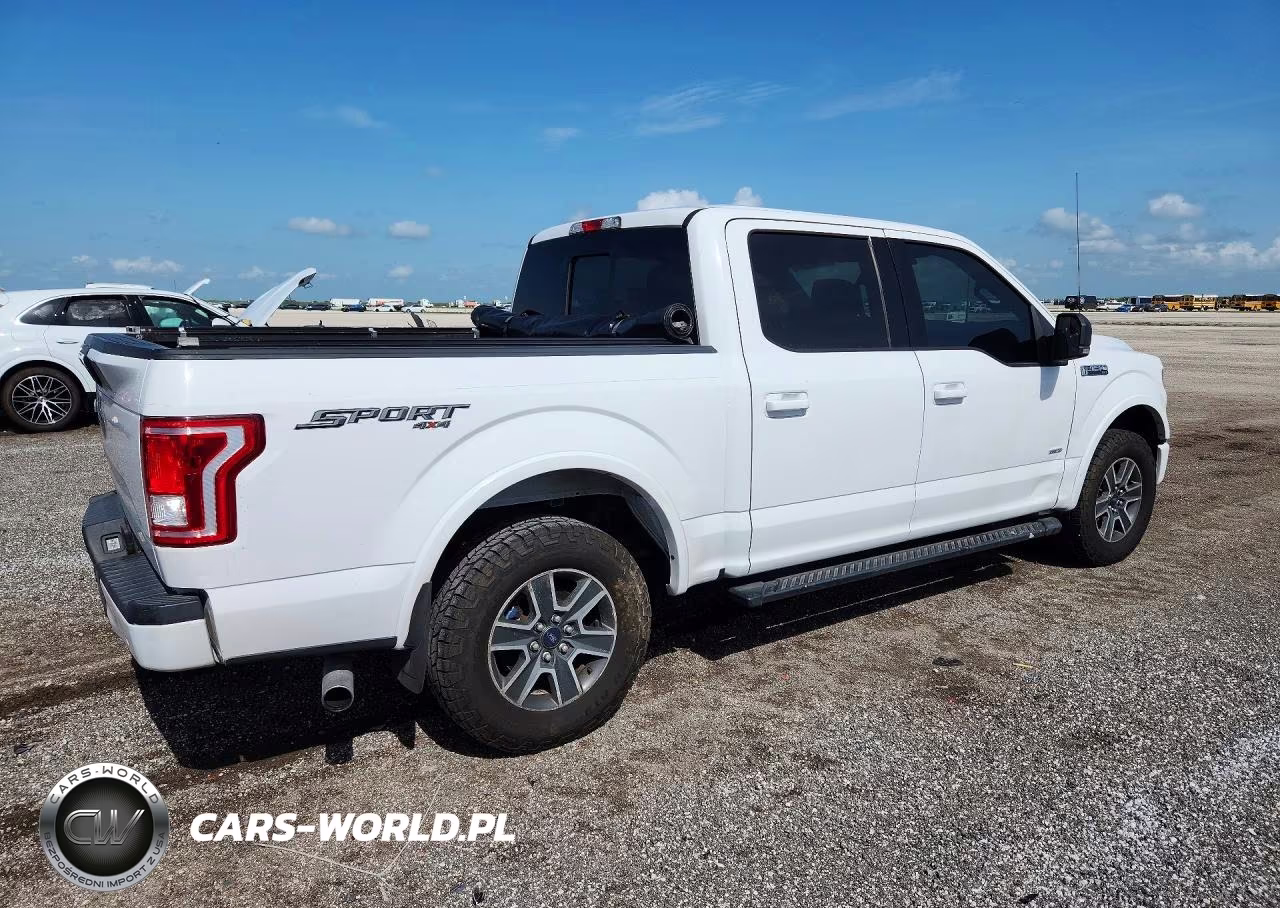 2016 Ford F150 Supercrew VIN:1FTEW1EP8GFC64350 - 3