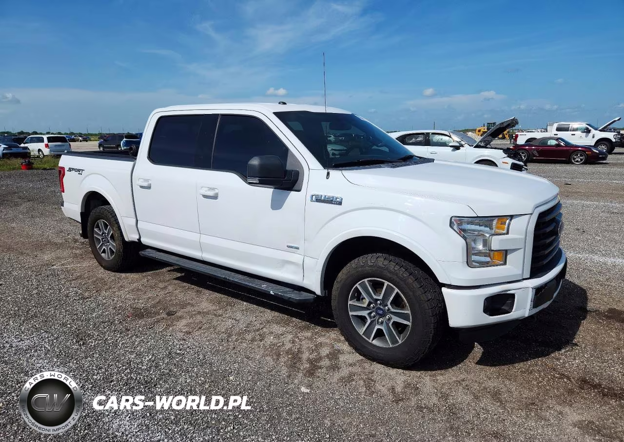 2016 Ford F150 Supercrew VIN:1FTEW1EP8GFC64350 - 4