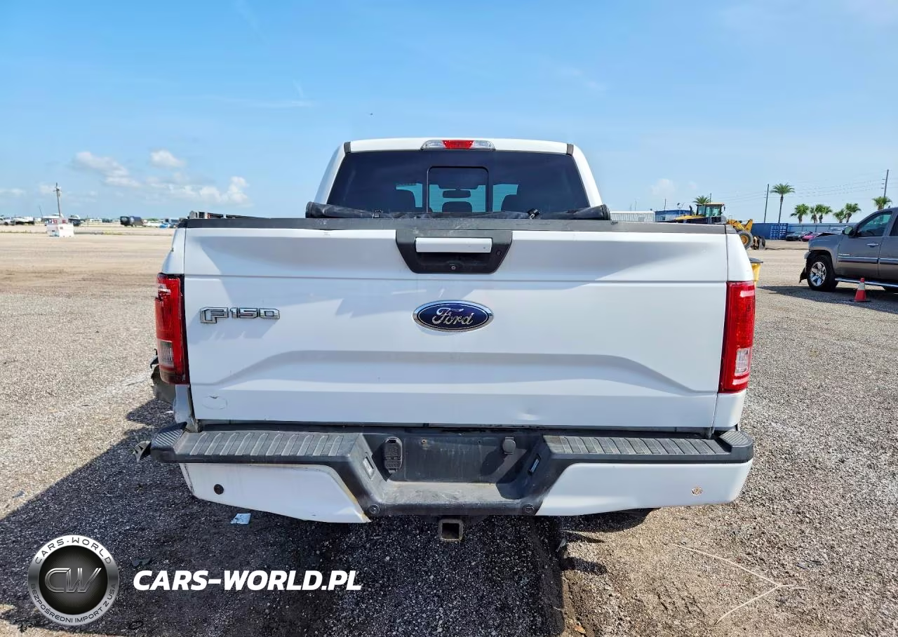 2016 Ford F150 Supercrew VIN:1FTEW1EP8GFC64350 - 6
