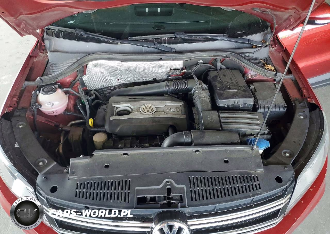 2016 Volkswagen Tiguan S VIN:WVGAV7AX1GW052833 - 12