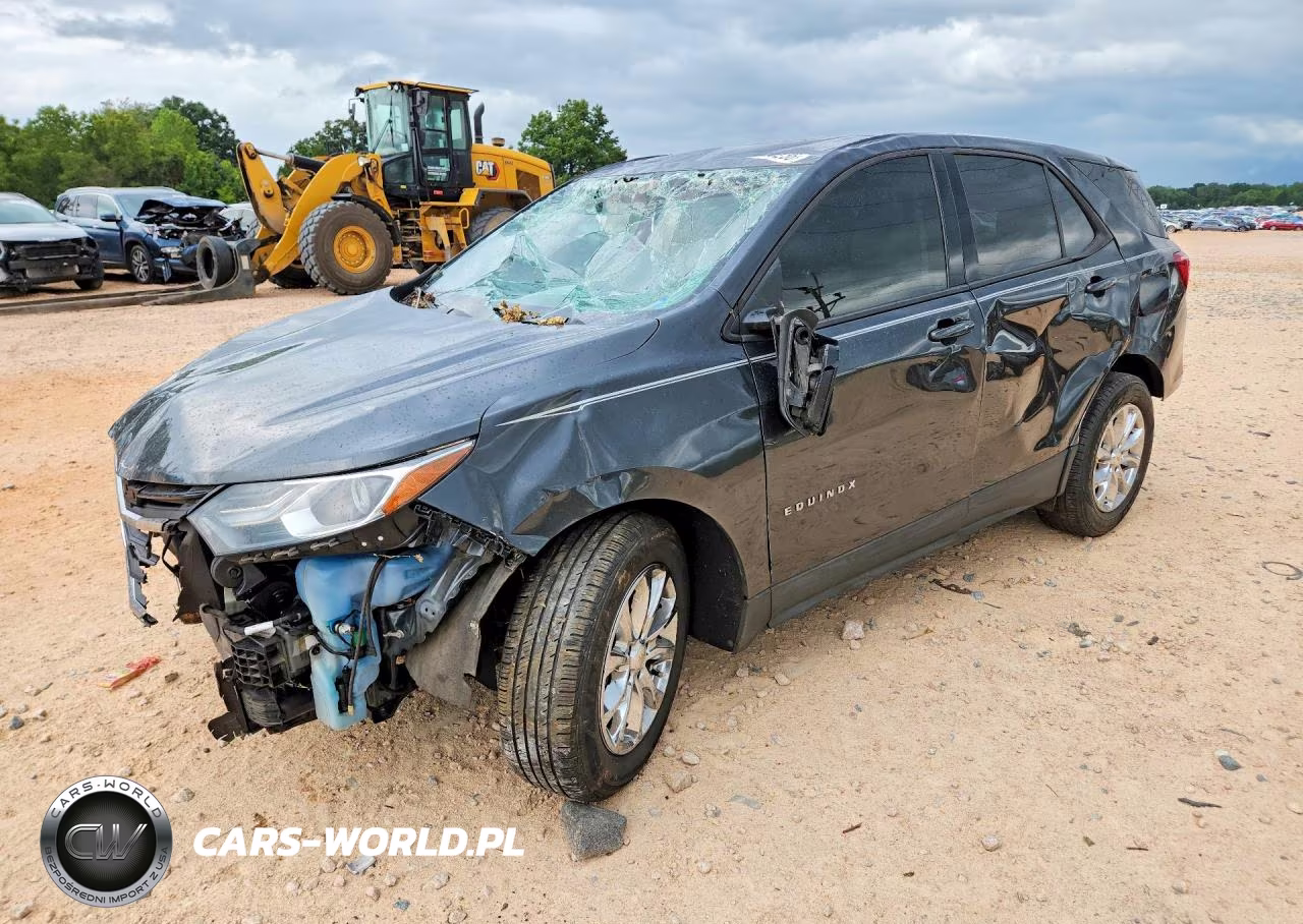 2019 Chevrolet Equinox Ls VIN:3GNAXHEV5KL370814 - 1
