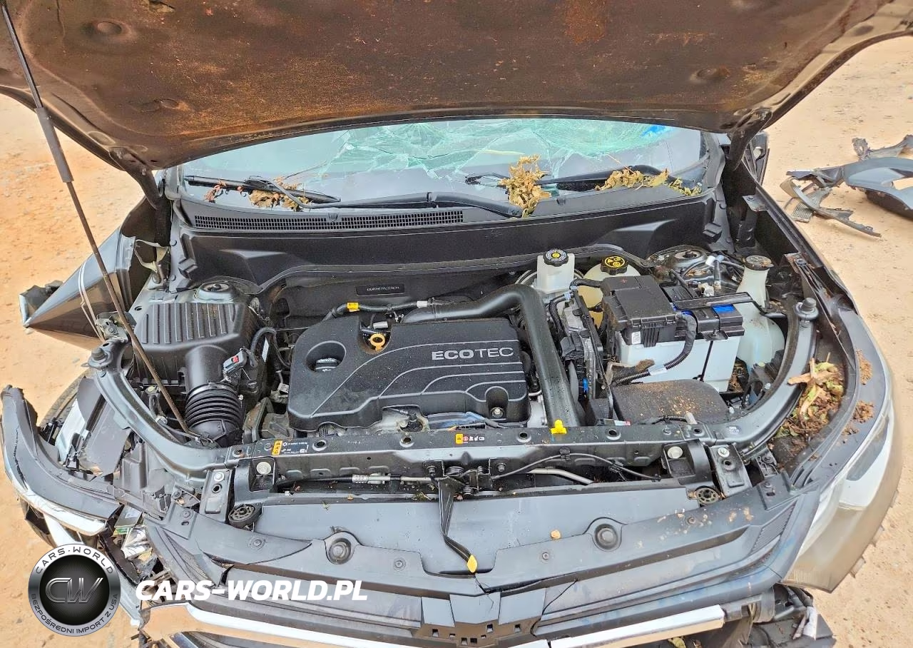 2019 Chevrolet Equinox Ls VIN:3GNAXHEV5KL370814 - 12
