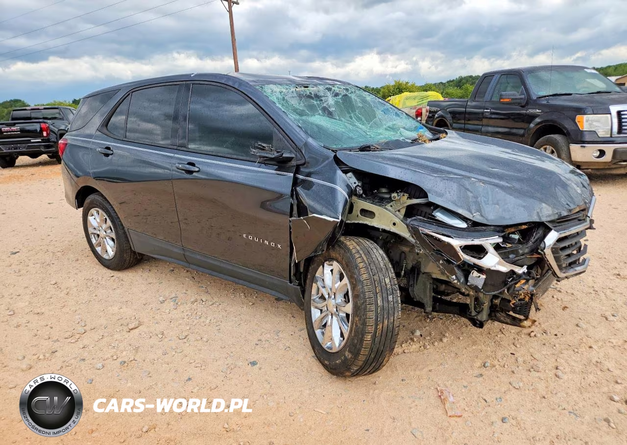 2019 Chevrolet Equinox Ls VIN:3GNAXHEV5KL370814 - 4