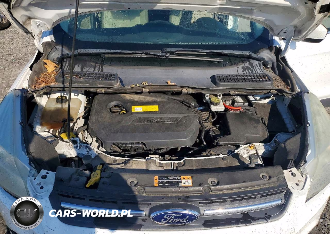 2015 Ford Escape Se VIN:1FMCU0GX1FUB20875 - 12