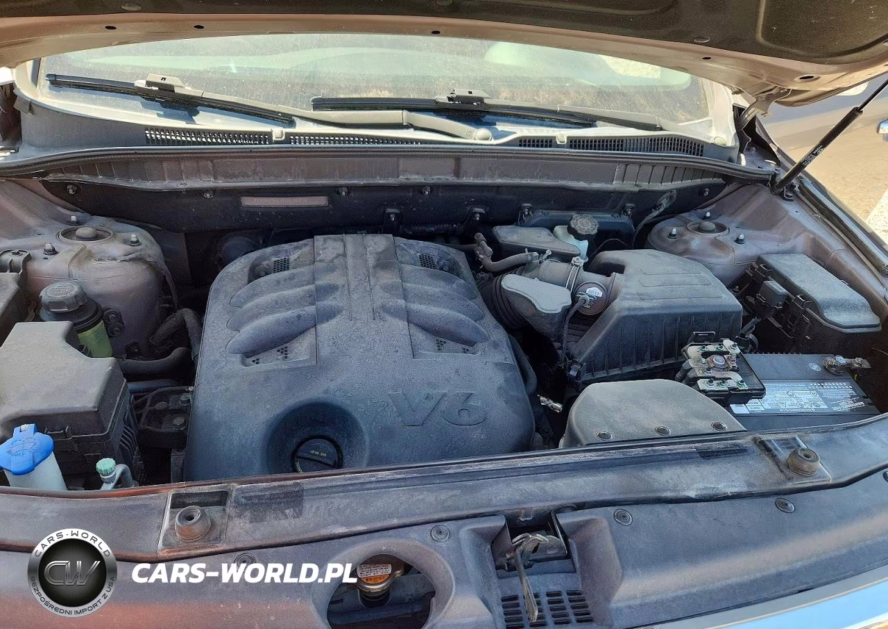 2010 Hyundai Veracruz Limited VIN:KM8NU4CC9AU138570 - 12