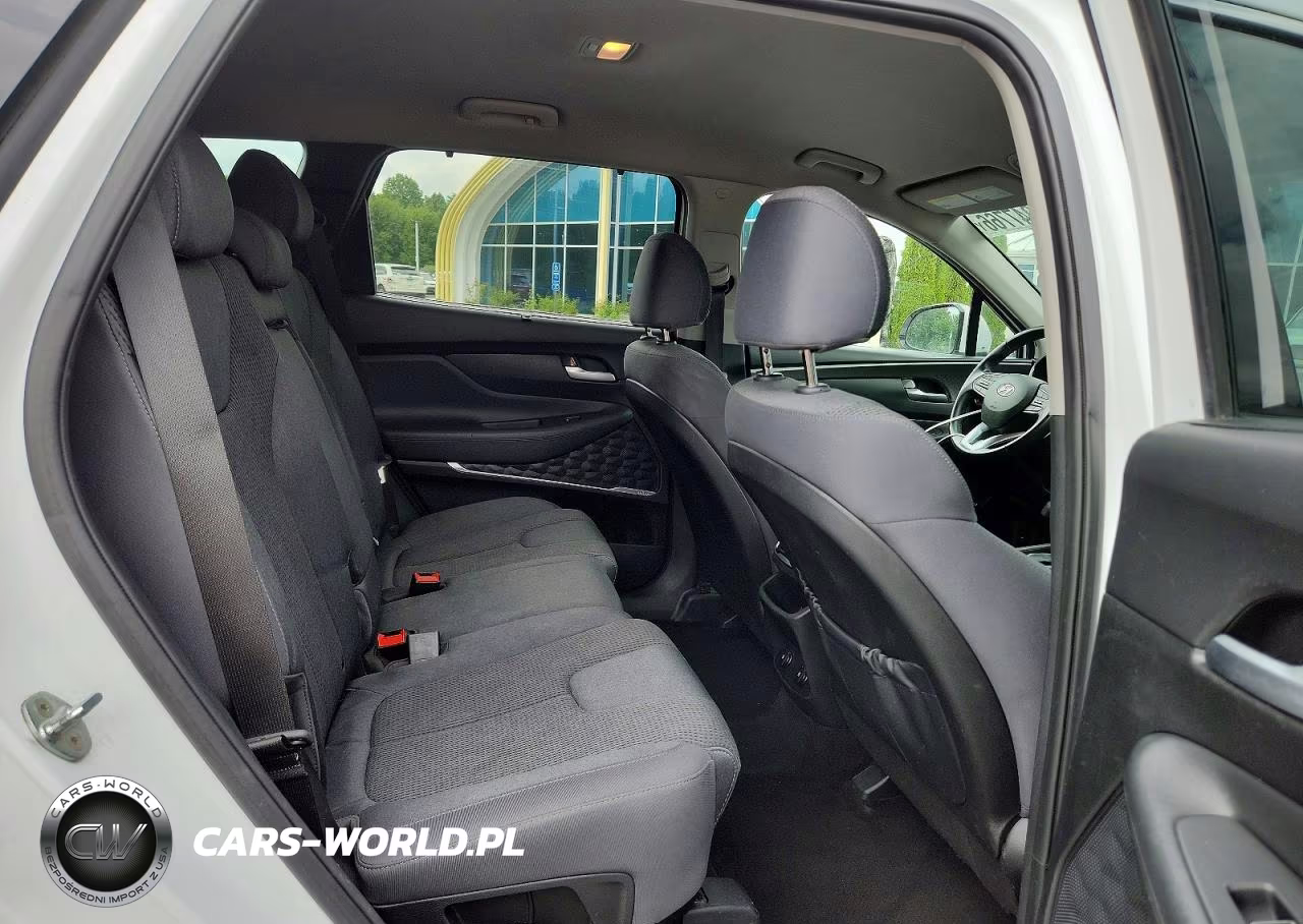 2020 Hyundai Santa Fe Sel VIN:5NMS3CAD2LH176300 - 11