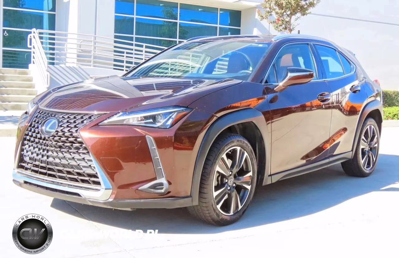 2019 Lexus Ux 200 VIN:JTHY3JBH0K2013596 - 2