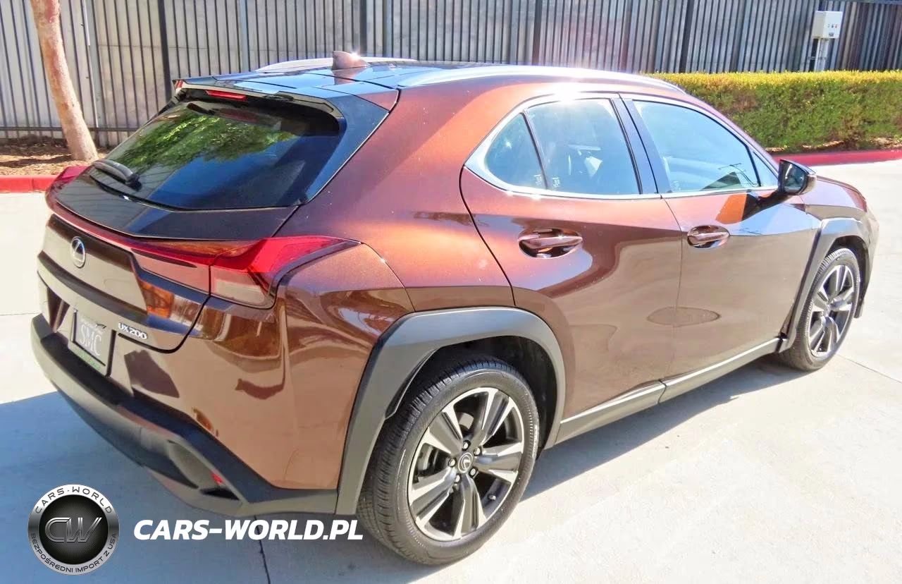 2019 Lexus Ux 200 VIN:JTHY3JBH0K2013596 - 3