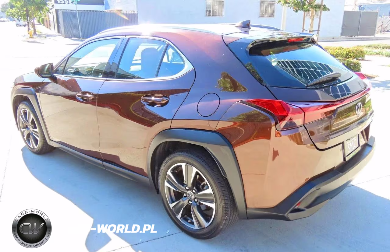 2019 Lexus Ux 200 VIN:JTHY3JBH0K2013596 - 4