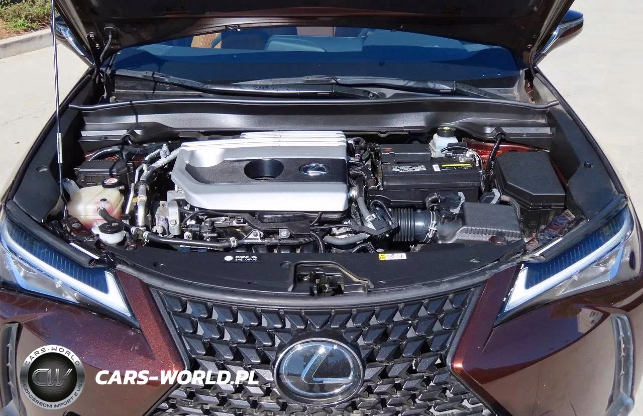 2019 Lexus Ux 200 VIN:JTHY3JBH0K2013596 - 7